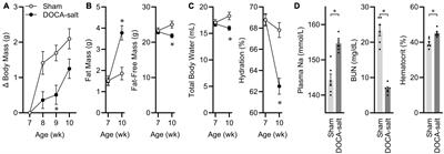Cell-specific transcriptome changes in the hypothalamic arcuate nucleus in a mouse deoxycorticosterone acetate-salt model of hypertension